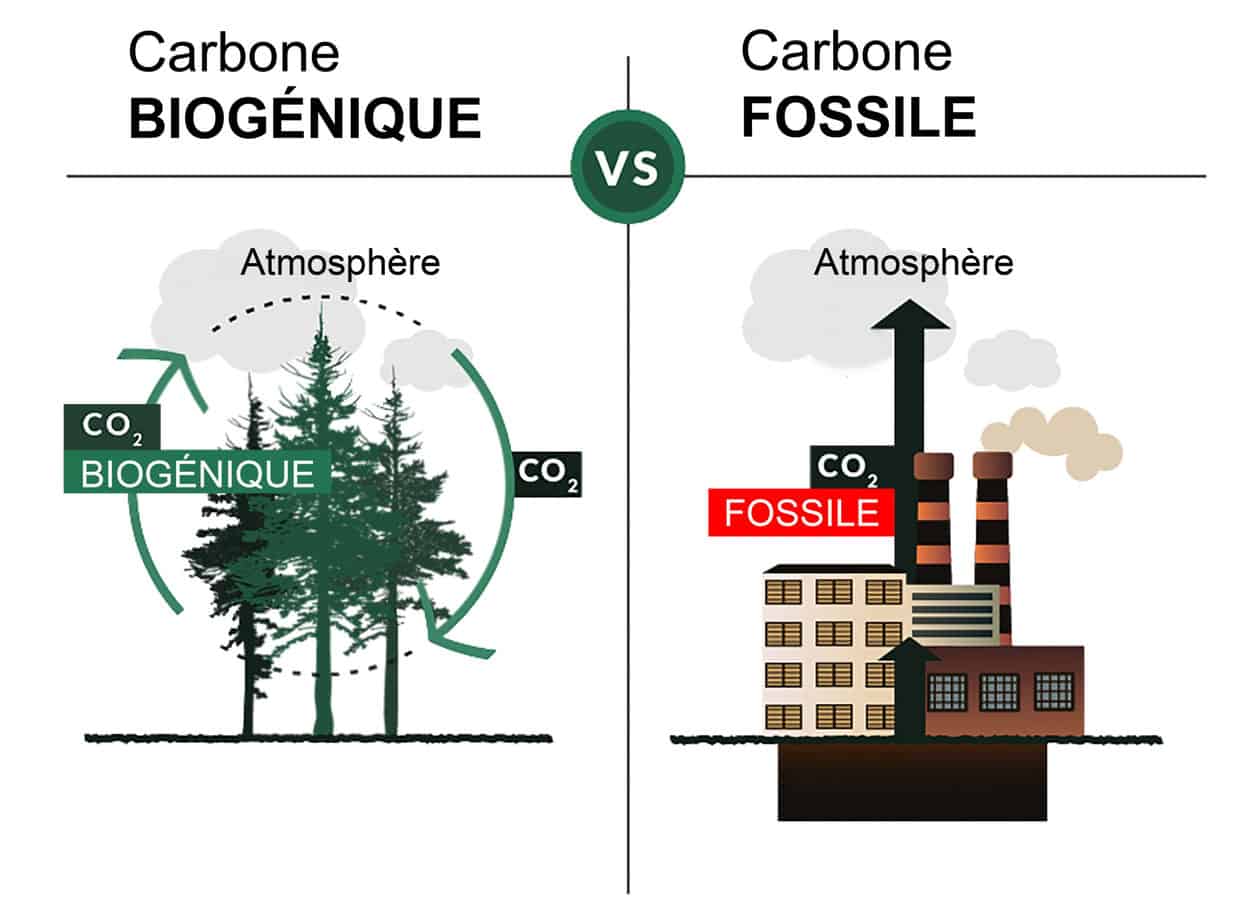 last carbon